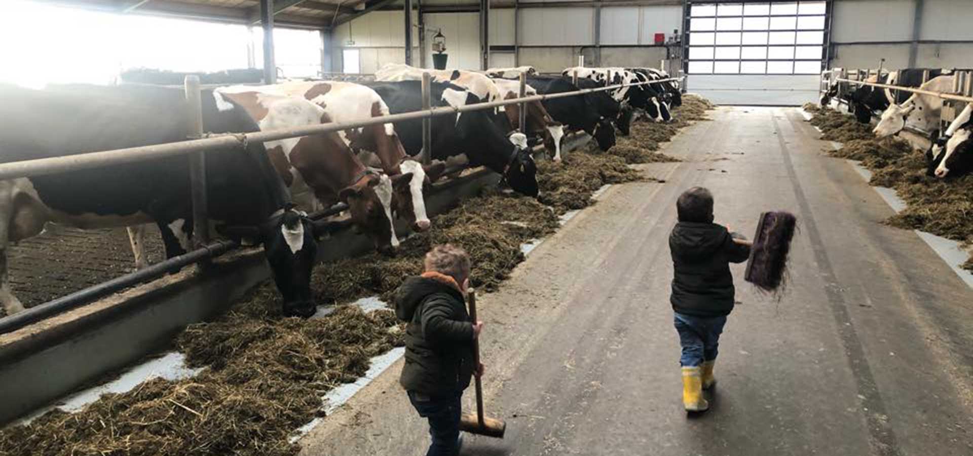 Boerderij Nieuws en achtergronden over de landbouw